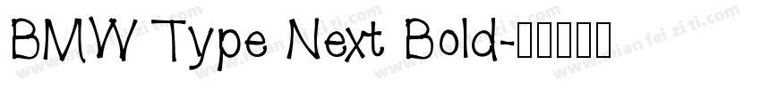 BMW Type Next Bold字体转换